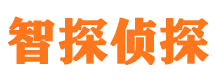 林甸侦探公司